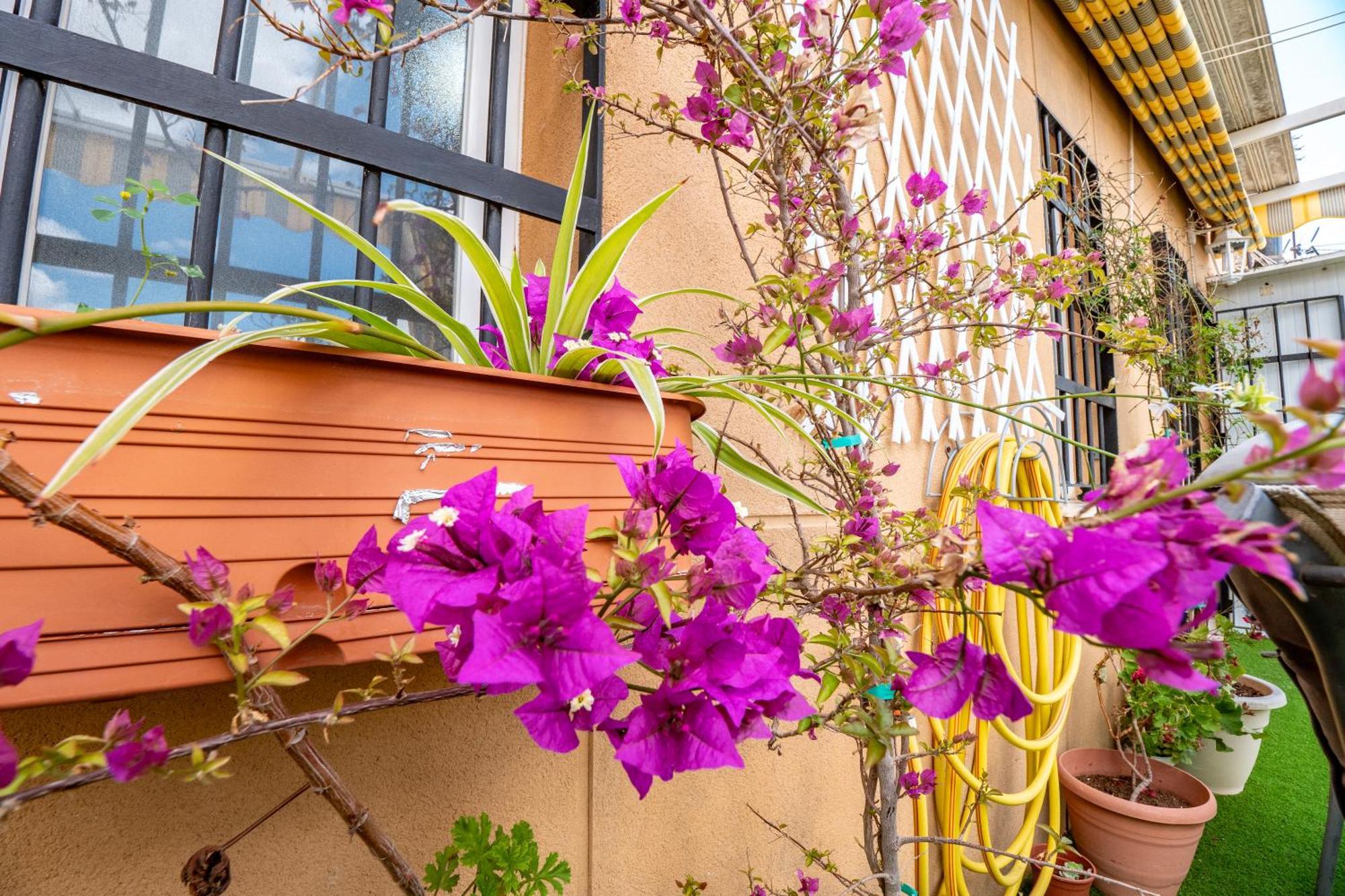 Atico Con Terraza Junto A La Catedral Apartment Huelva Exterior foto